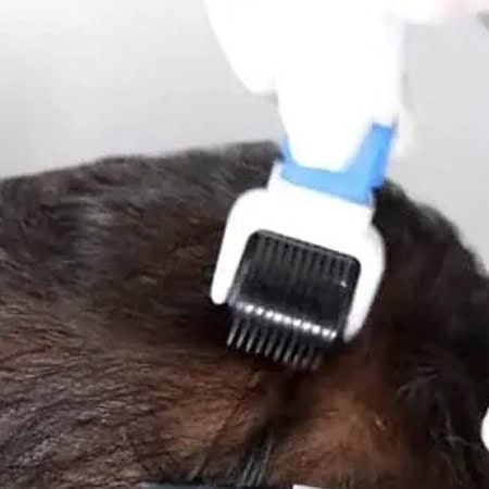 Treatment photo